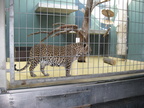 IMG 4279 (23051 visits) IMG 4279