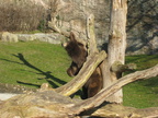 IMG 4294