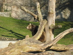 IMG 4295