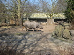 IMG 4304