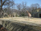 IMG 4310