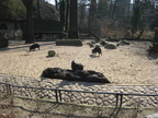IMG 4318