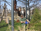 IMG 4323