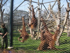 IMG 4324