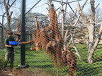 IMG 4326