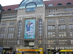 IMG 4331